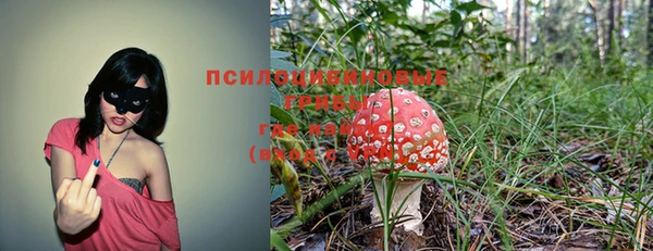 гидра Алексин