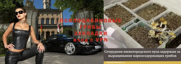 гидропоника Алексеевка